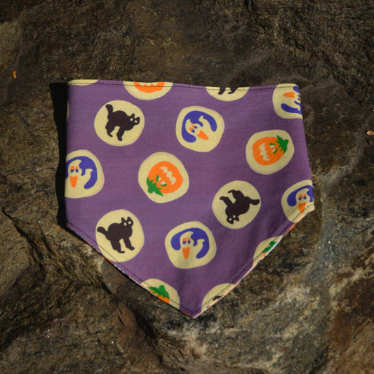 Spooky Snack - CLIPS