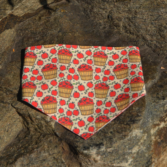 Apple Picking - CLIPS