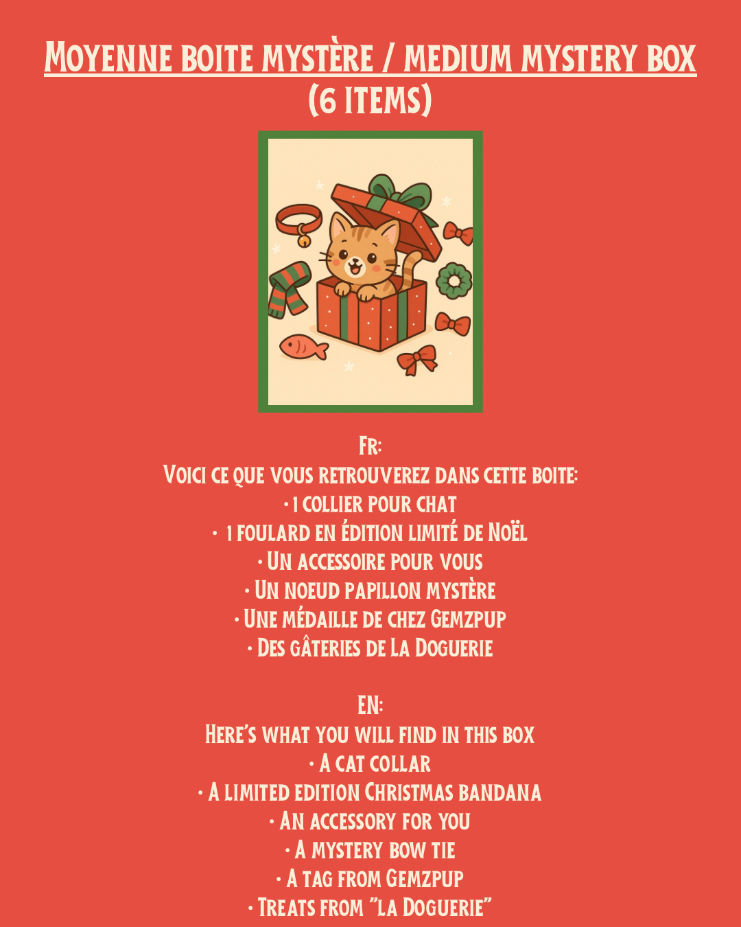Moyenne boite mystère pour chat | Cat medium mystery box