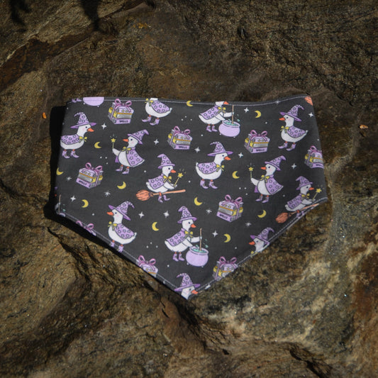 Witchy Geese - CLIPS