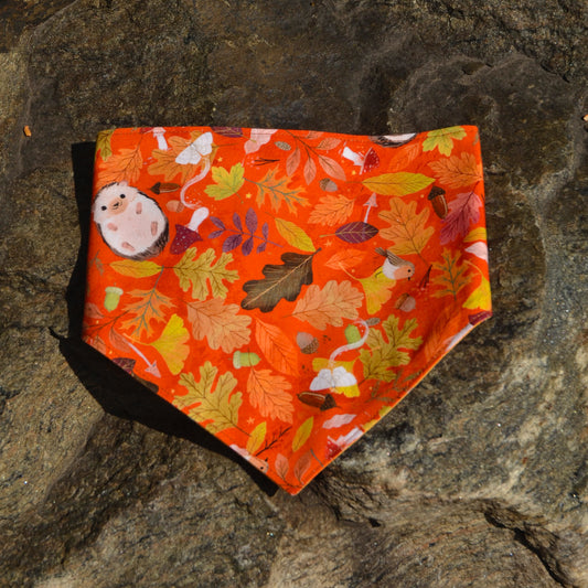 Woodland Wanderer - CLIPS