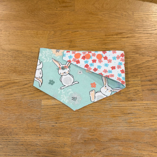 Turquoise Bunny - Clips