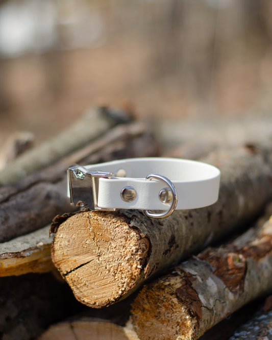 Collier à attache rapide | Quick release collar (3/4)