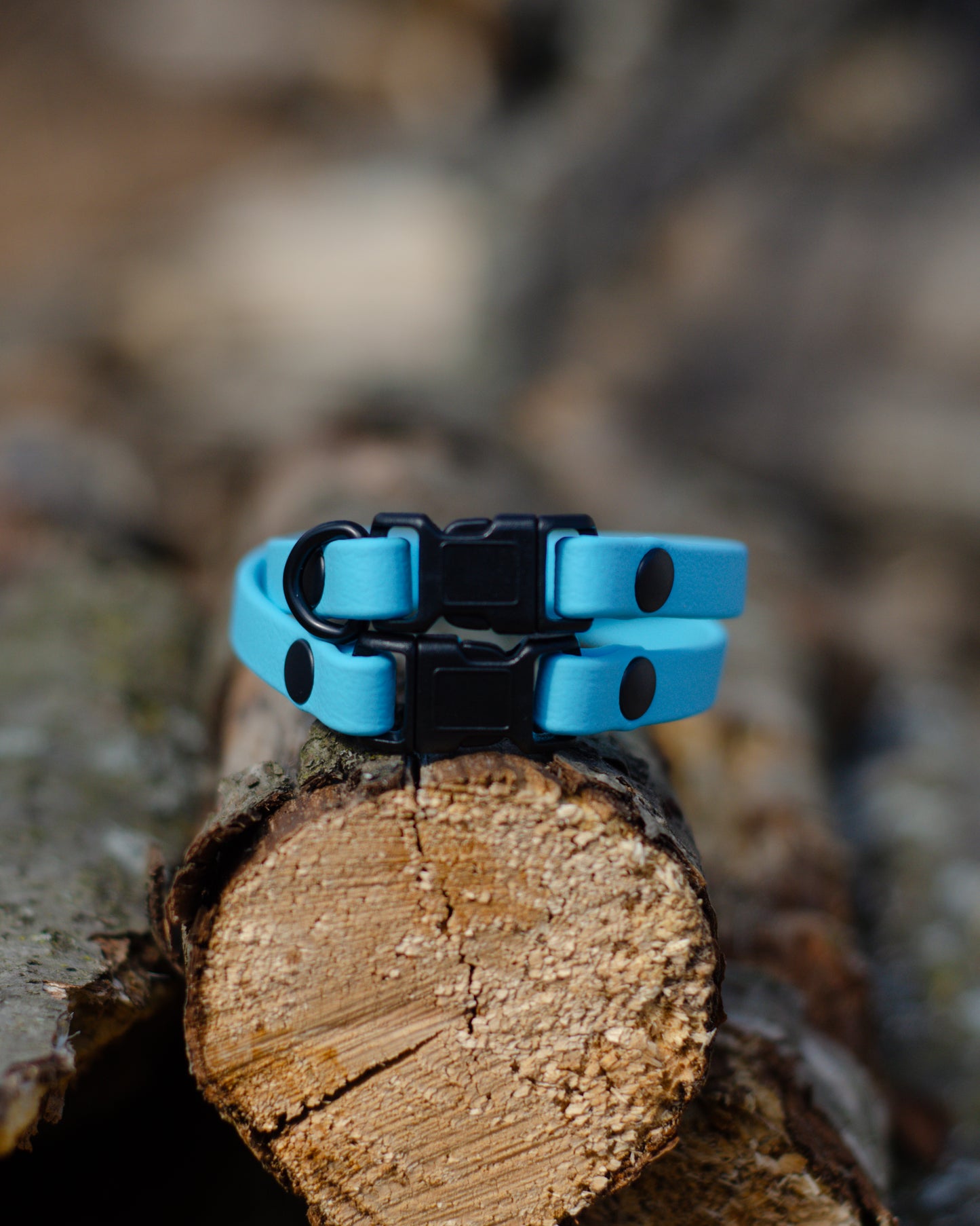 Collier à chat | Cat collar (3/8)