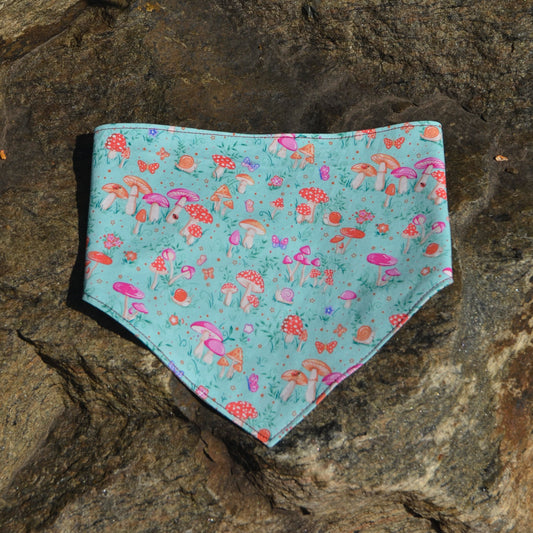 Mystic Forest - CLIPS