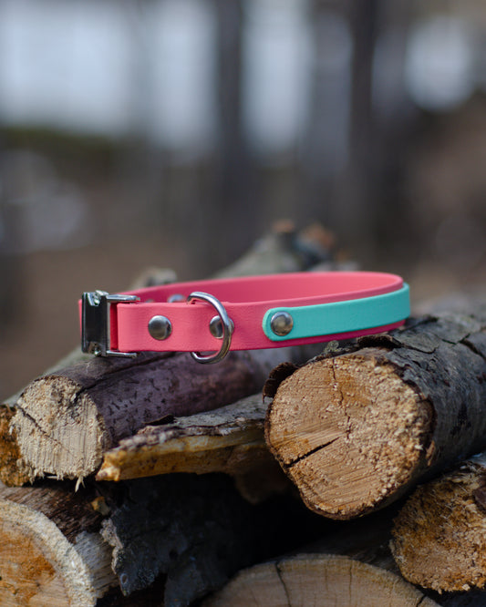 Collier à attache rapide avec bande | Quick release collar with layer (3/4)