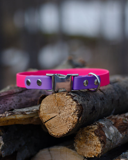 Collier à attache rapide 2 couleurs | 2 colors quick release collar (3/4)