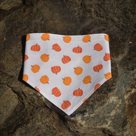 Boo-tiful Pumpkins - CLIPS