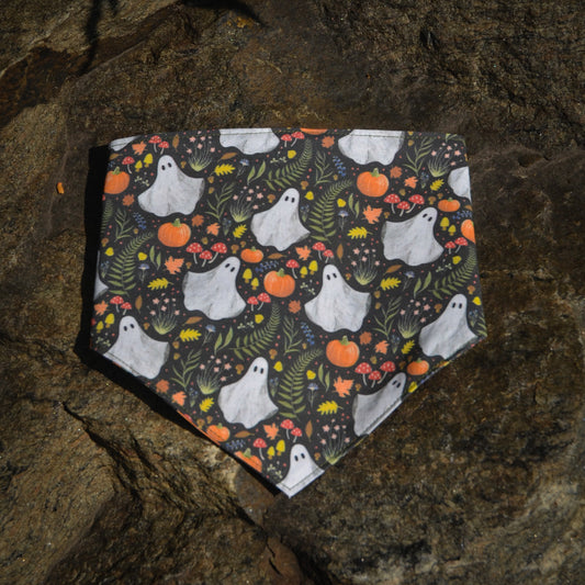 Haunted Harvest - CLIPS