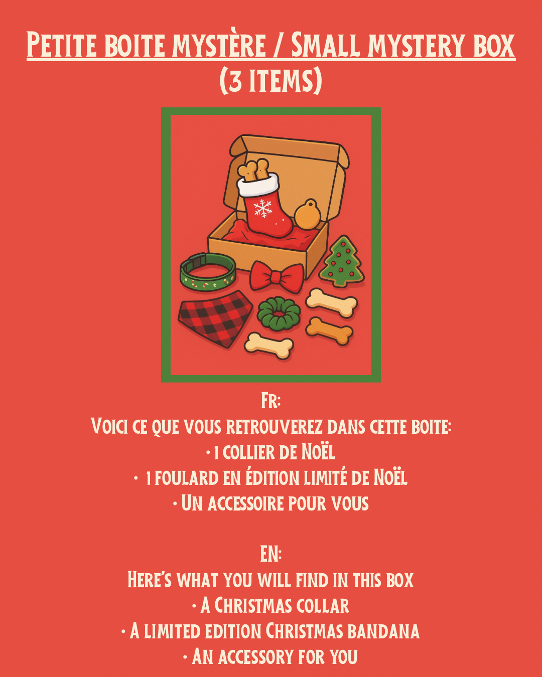 Petite boite mystère pour chien | Dog small mystery box