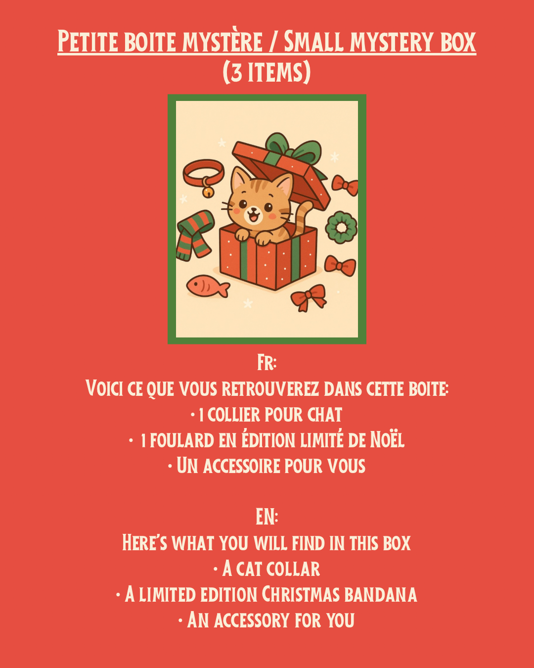 Petite boite mystère pour chat | Cat small mystery box