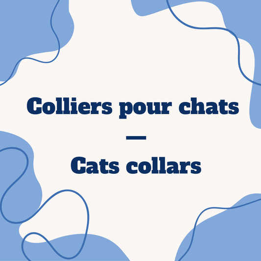 Colliers pour chats | Cats collars