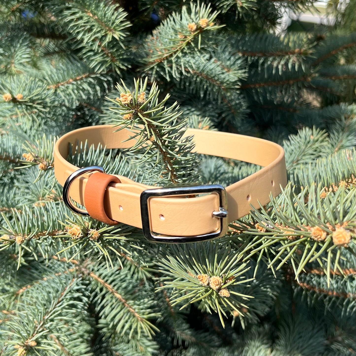 Courroie de retenue | Strap keeper