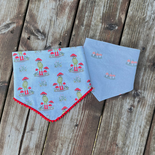 Autumn Froggy - Clips