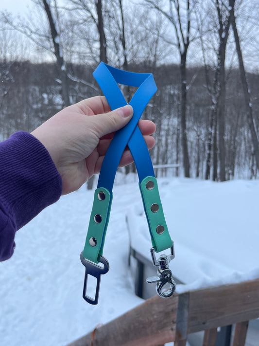 Laisse pour voiture 2 couleurs | 2 colors car leash