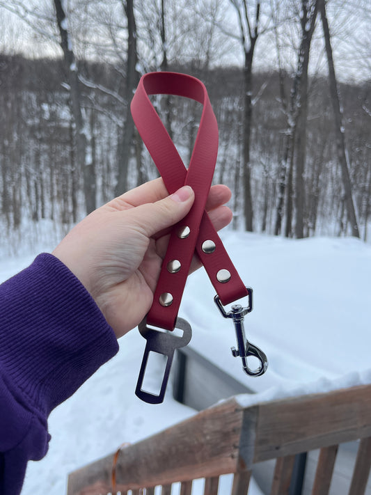 Laisse pour voiture | Car leash