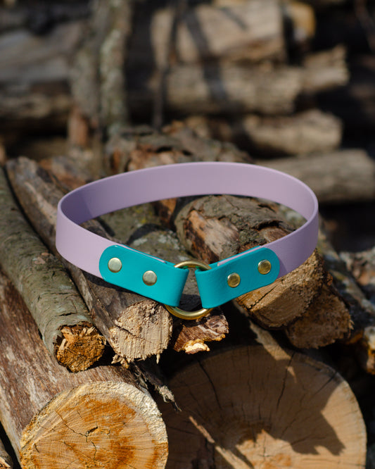 Porte-médaille 2 couleurs | 2 colors tag holder (1)