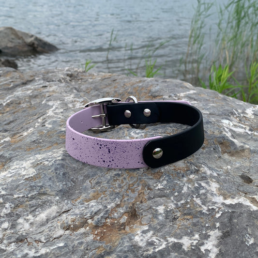 Speckled - Moitié-moitié | Half-half (1)