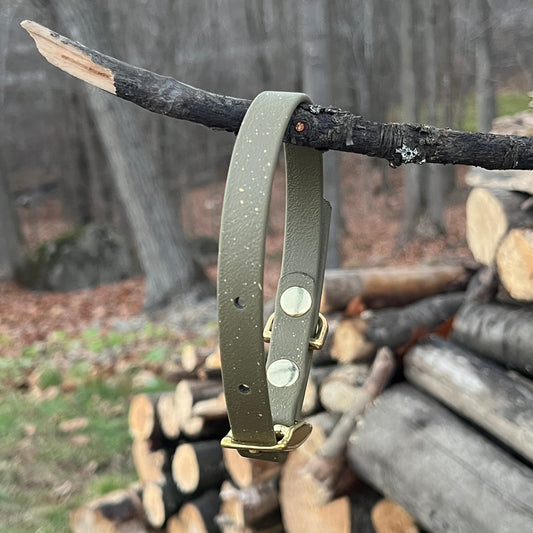 Speckled- Collier standard | Standard collar (1/2)