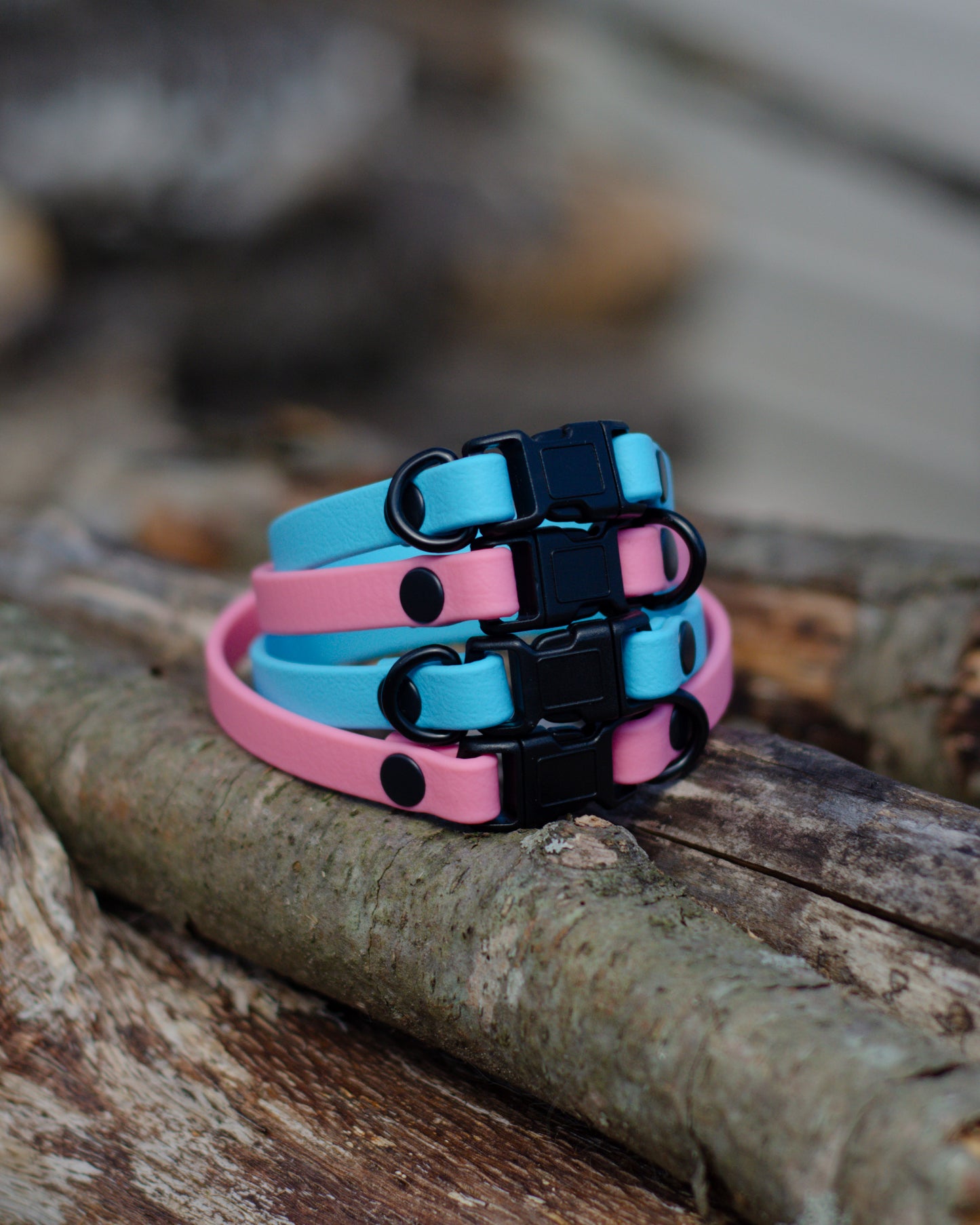 Collier à chat | Cat collar (3/8)