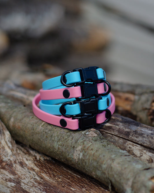 Collier à chat | Cat collar (3/8)