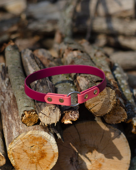 Porte-médaille 2 couleurs | 2 colors tag holder (3/4)