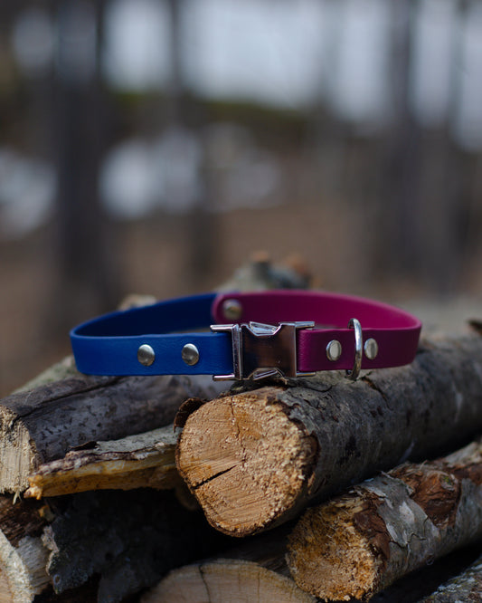 Collier à attache rapide moitié-moitié | Half-half quick release collar (3/4)