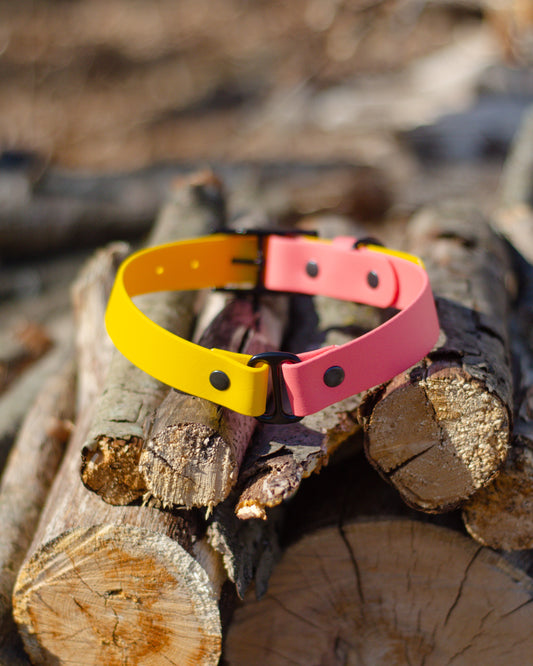 Collier 2 couleurs | 2 colors collar (1)