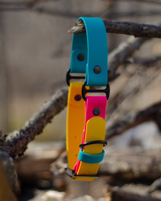 Collier 3 couleurs | 3 colors collar (1)