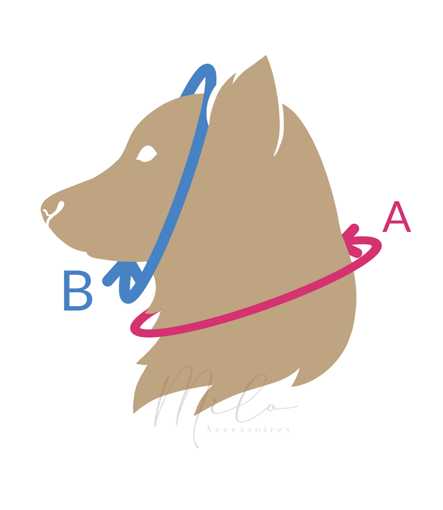 Speckled - Slip 2 couleurs | 2 colors slip (3/4)