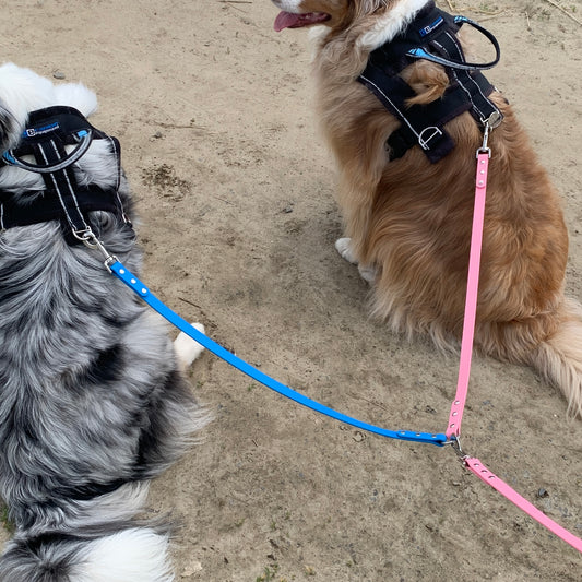 Coupleur | Coupler (3/4)