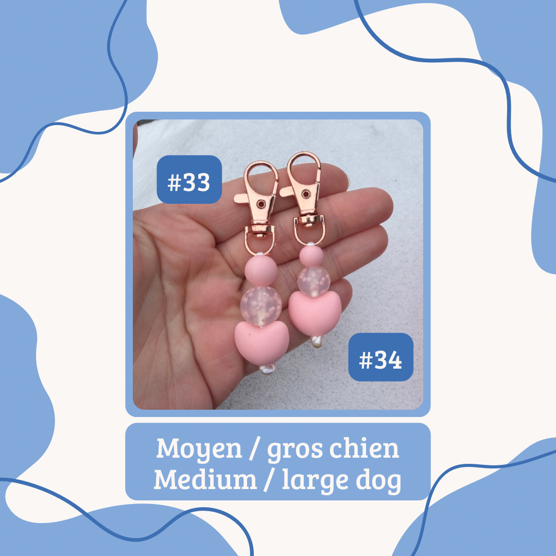 Saint-Valentin | Valentine’s Day