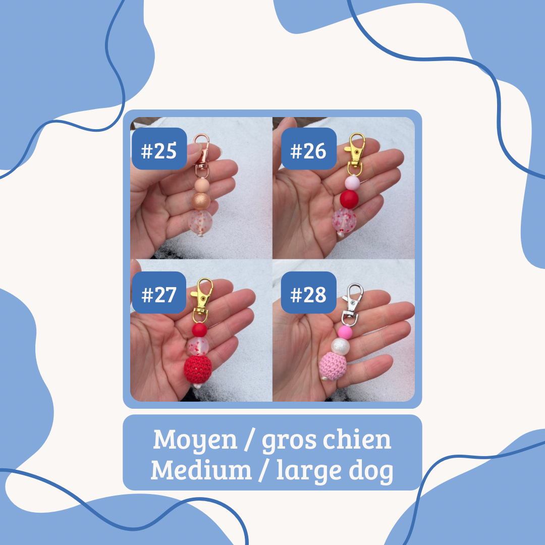 Saint-Valentin | Valentine’s Day