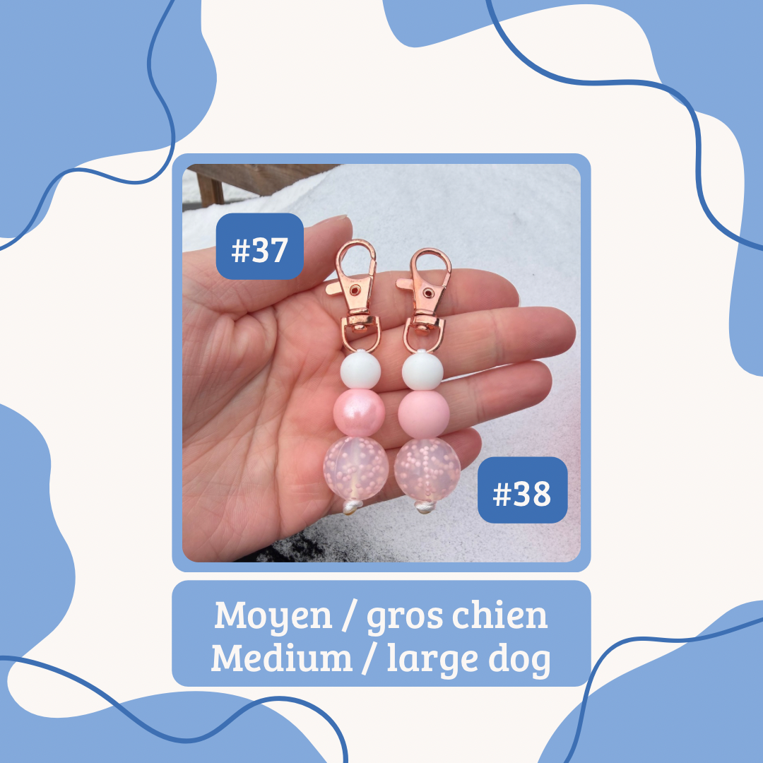 Saint-Valentin | Valentine’s Day