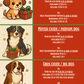 Calendrier de l'Avent pour chien | Dog Christmas Advent calendar
