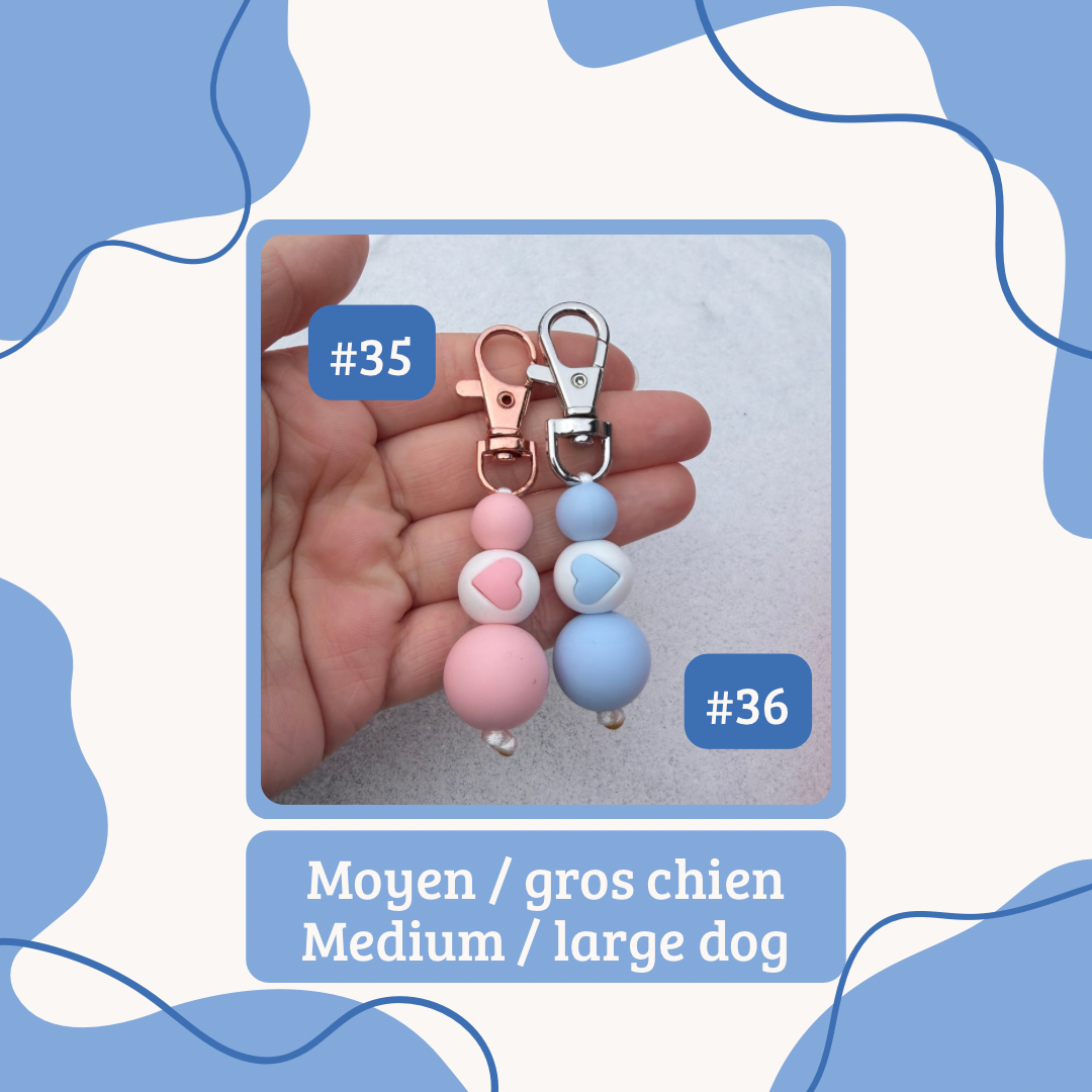 Saint-Valentin | Valentine’s Day