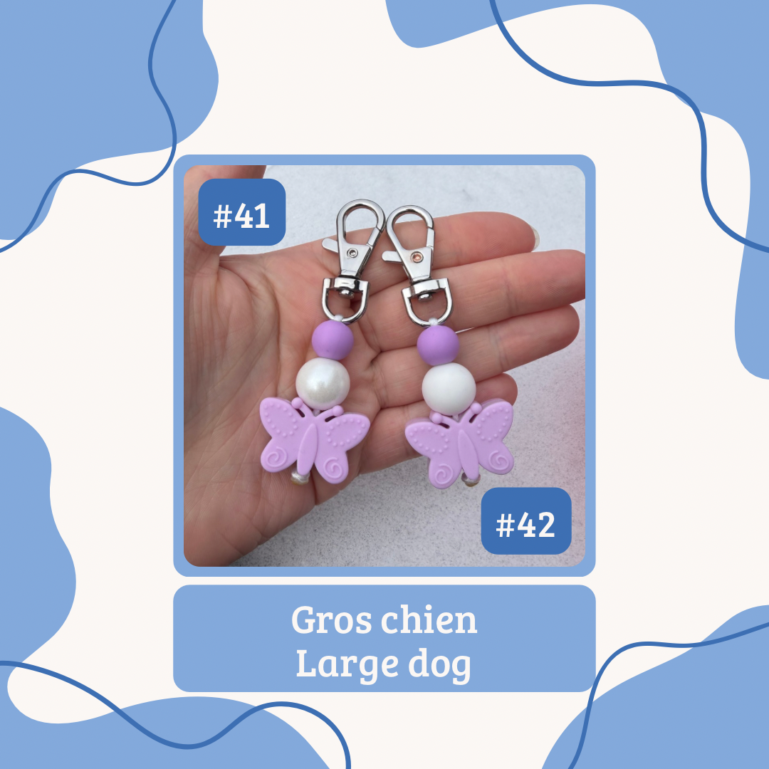 Saint-Valentin | Valentine’s Day