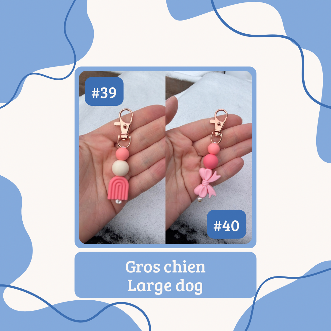 Saint-Valentin | Valentine’s Day