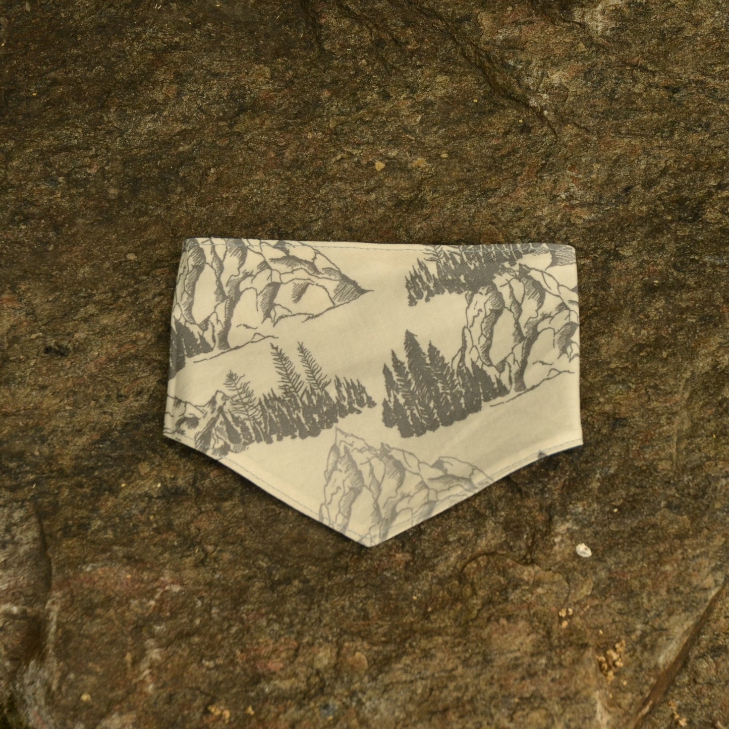 Wilderness - CLIPS