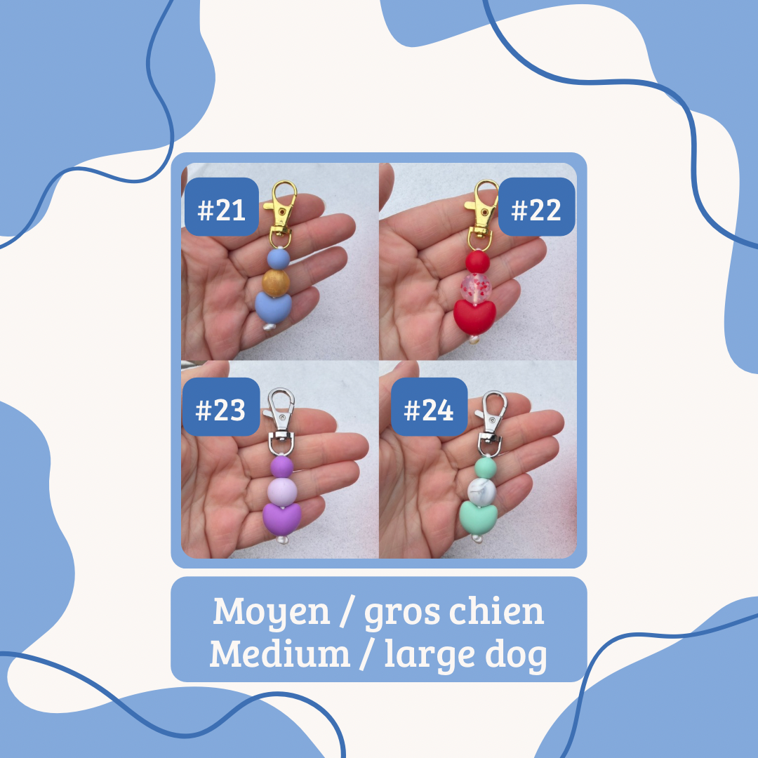 Saint-Valentin | Valentine’s Day