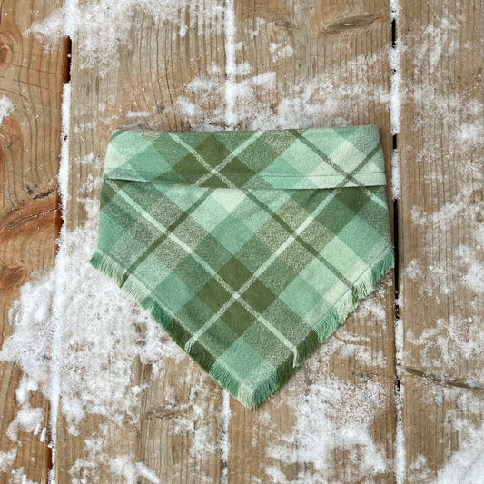 Shamrock