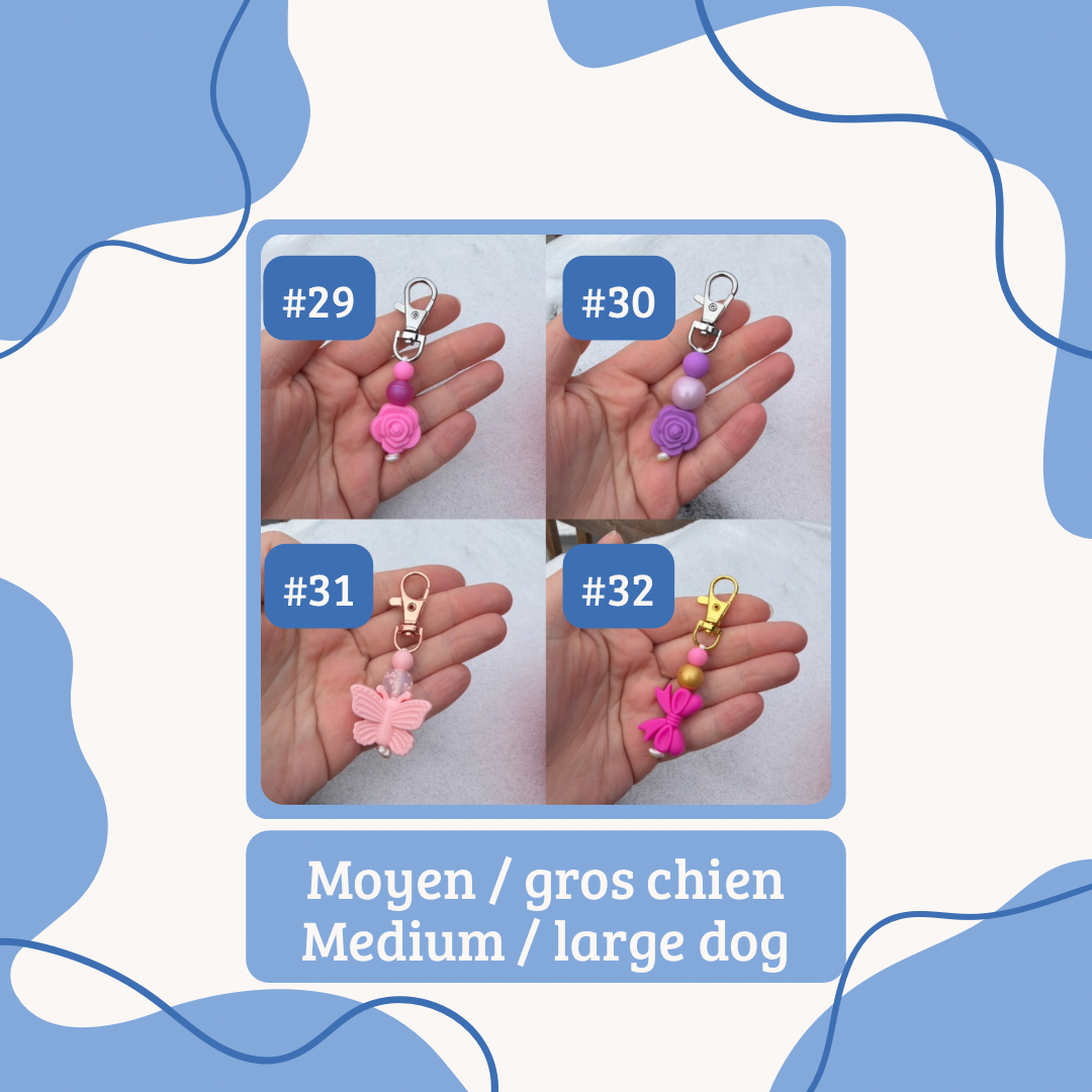 Saint-Valentin | Valentine’s Day