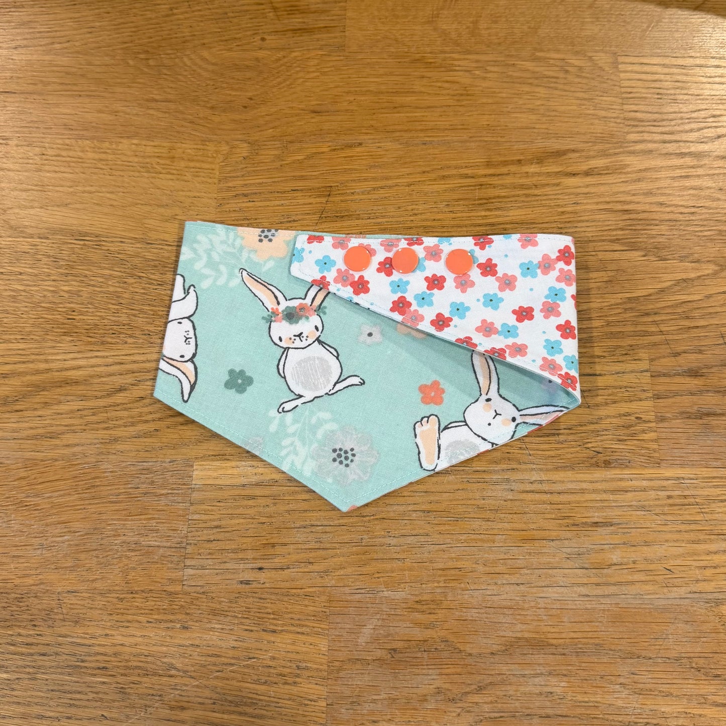 Turquoise Bunny - Clips