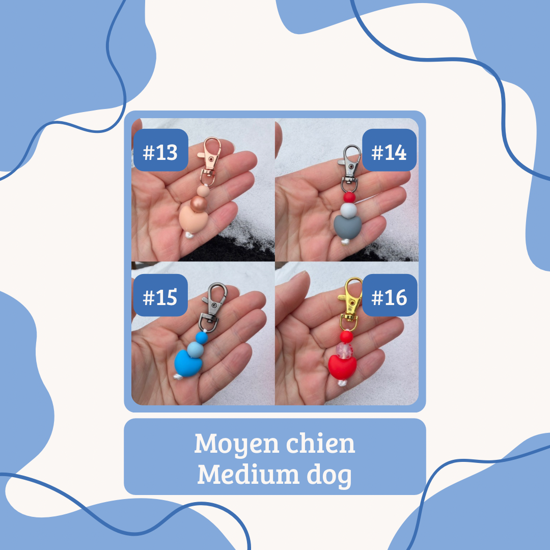 Saint-Valentin | Valentine’s Day