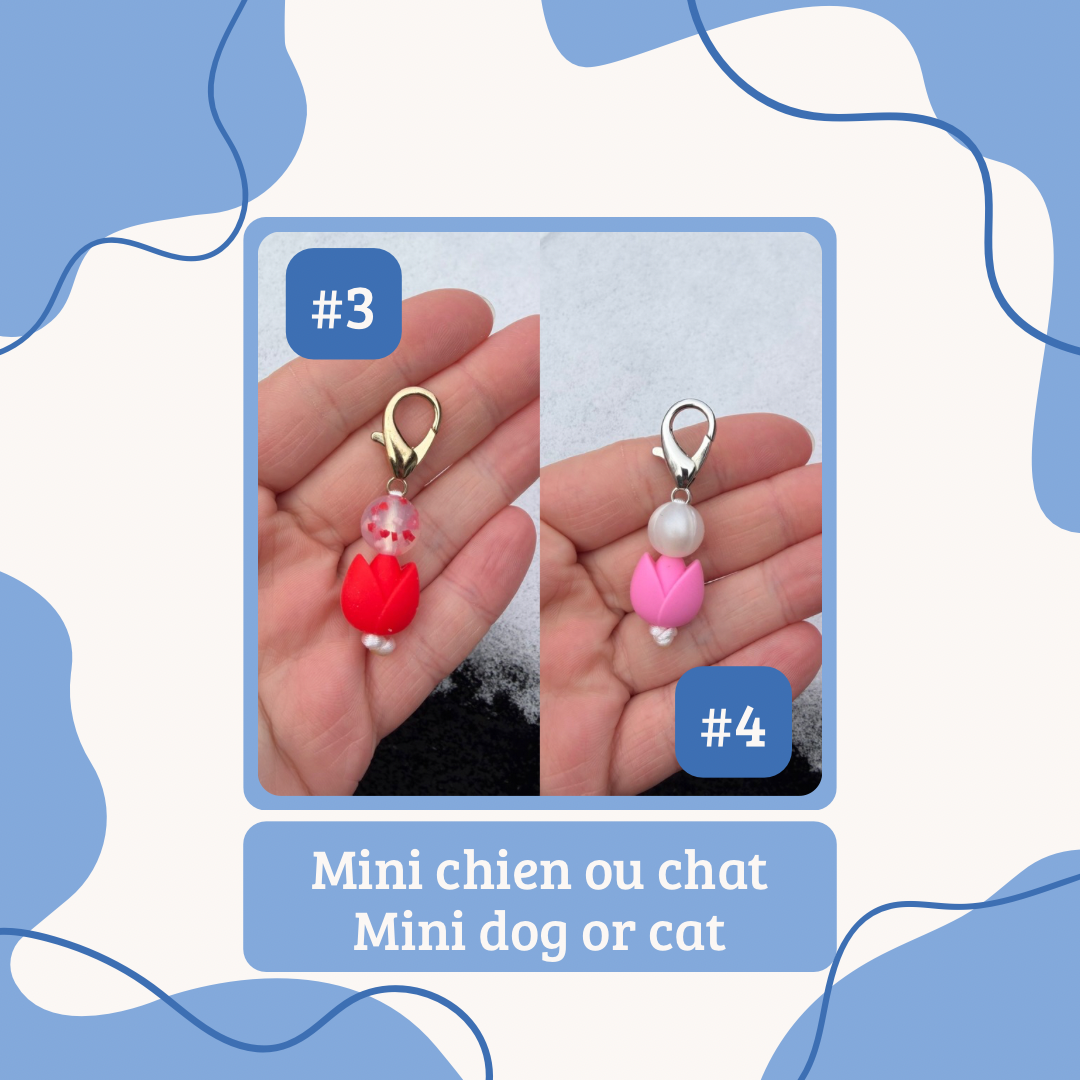 Saint-Valentin | Valentine’s Day