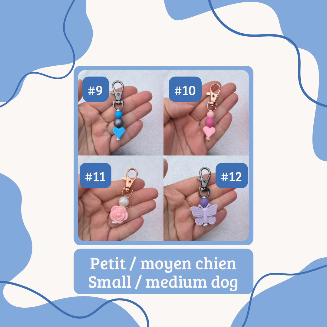 Saint-Valentin | Valentine’s Day