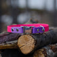 Collier à attache rapide 2 couleurs | 2 colors quick release collar (3/4)