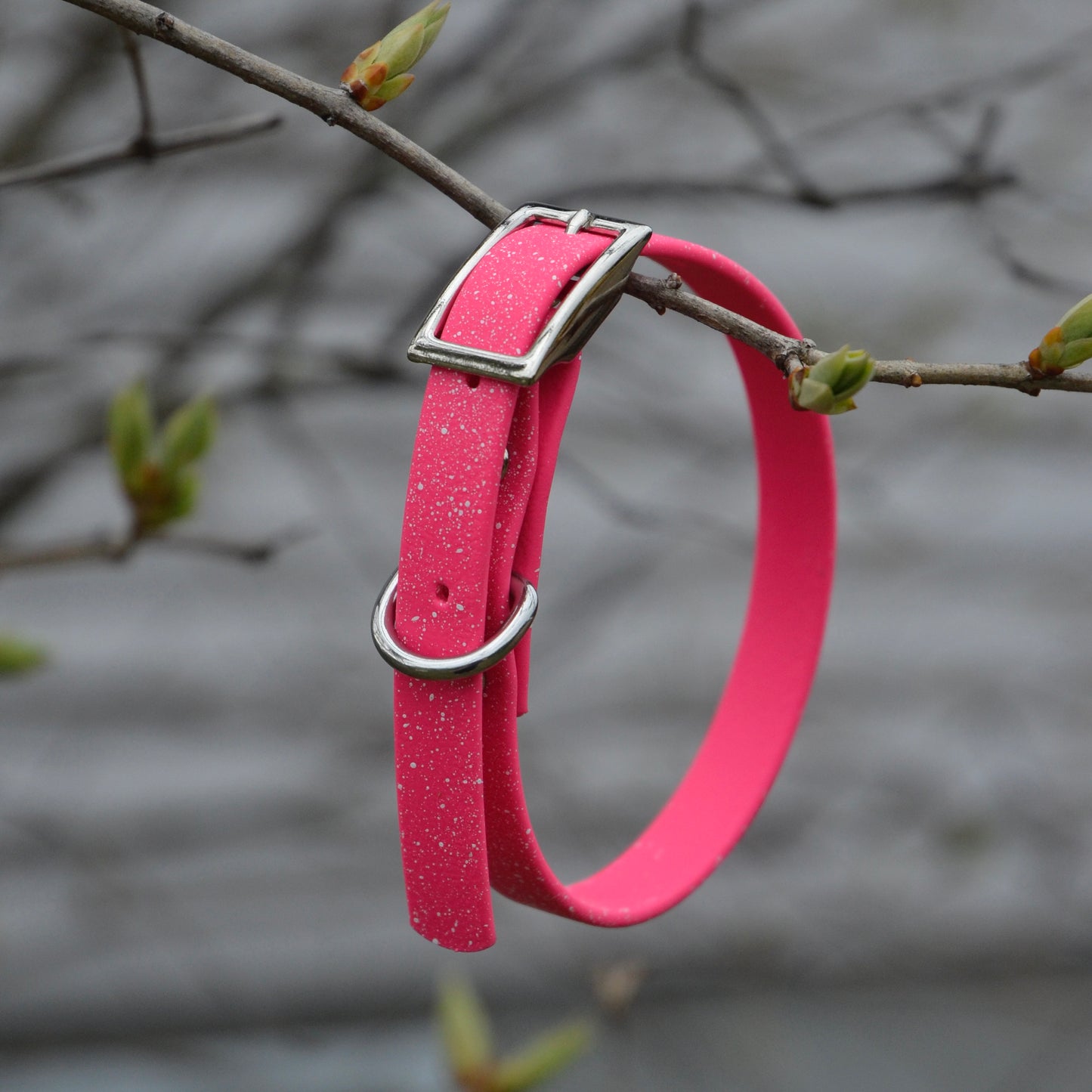 Speckled- Collier standard | Standard collar (1/2)