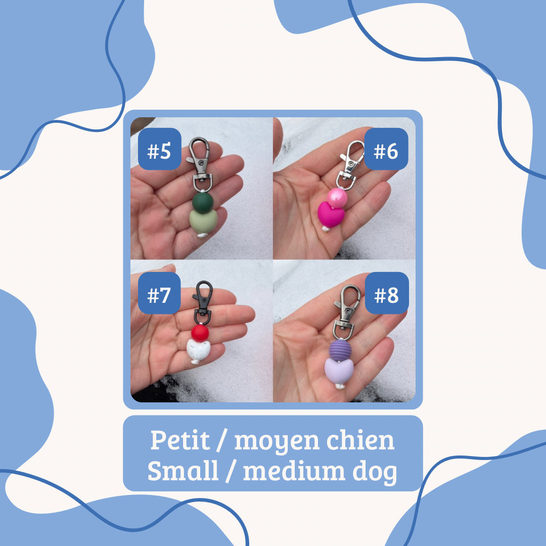 Saint-Valentin | Valentine’s Day