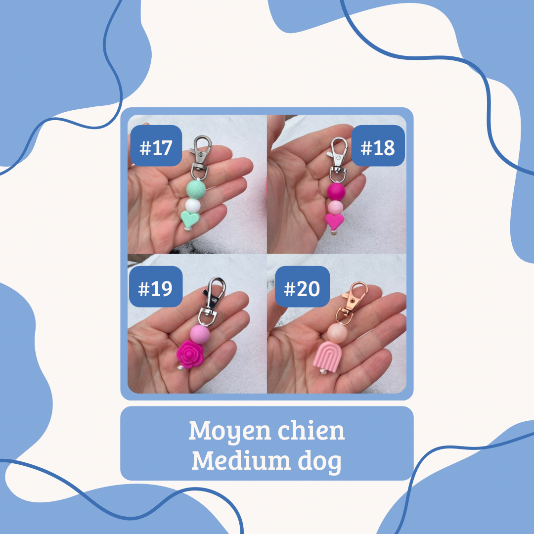 Saint-Valentin | Valentine’s Day